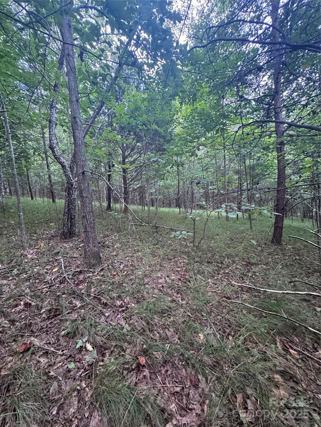 Cross Creek Dr. #67, Rutherfordton, NC