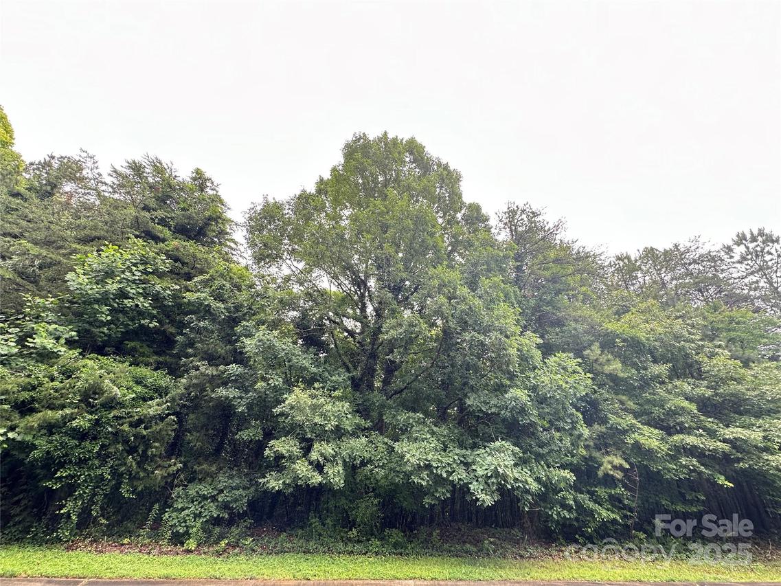 8810 Hollybrook Ln., Mint Hill, NC 28227