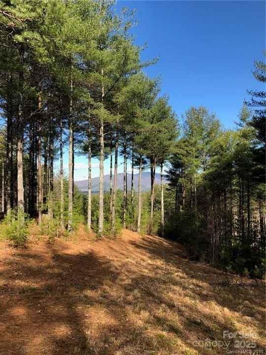 V/L Hunt Camp Dr. #59, Nebo, NC 28761