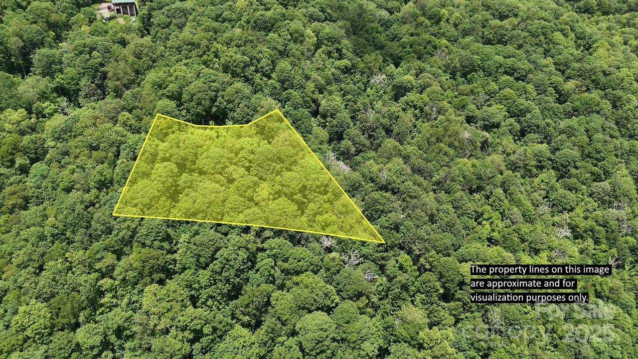 00 Logging Tr., Maggie Valley, NC 28751