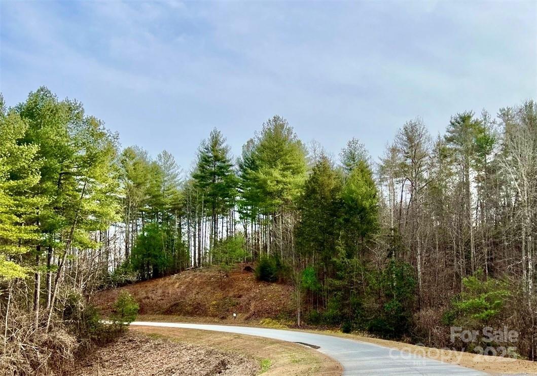 3.16 acres Lot 77, 1712 Round Mountain Pkwy. #77, Lenoir, NC 28645