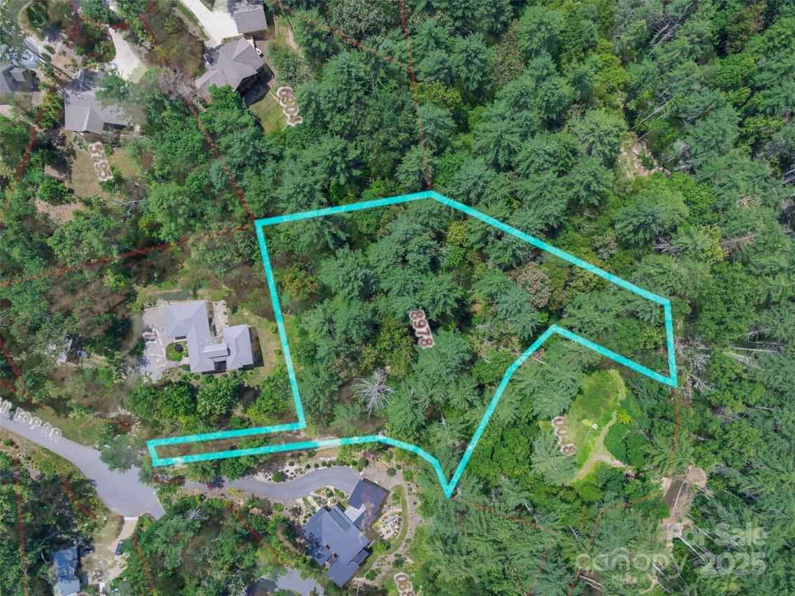 52 Trail Top Dr., Asheville, NC 28805