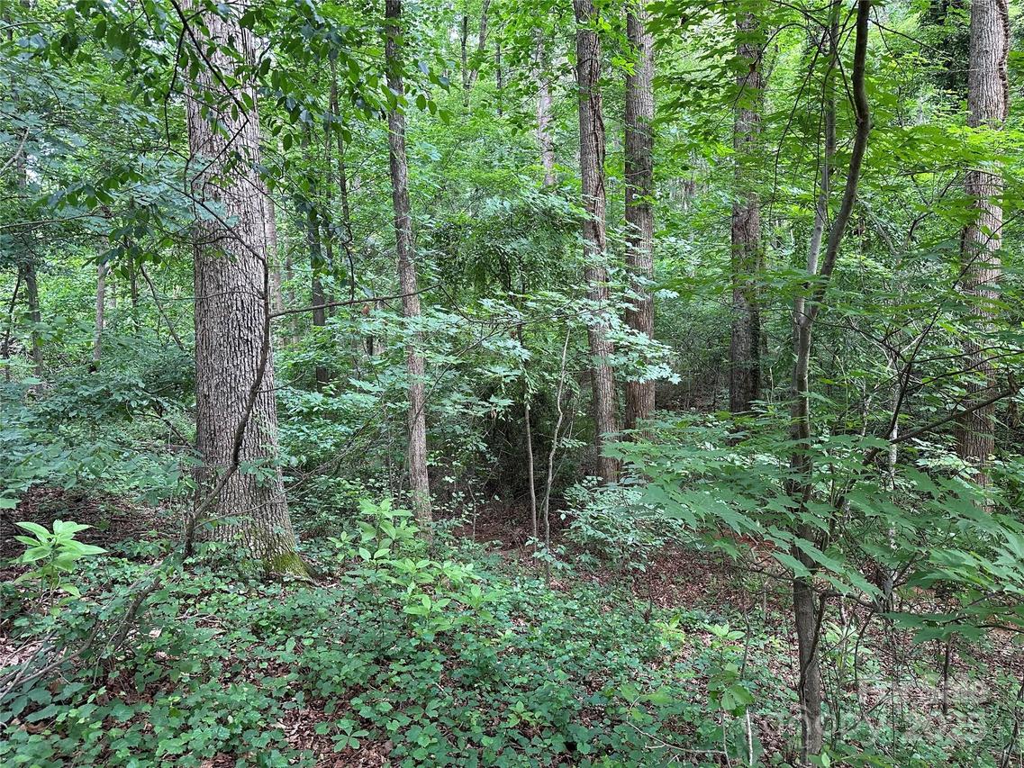 00 Fremont Ln., Elkin, NC 28621
