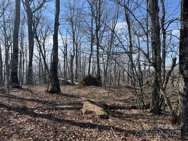 389 Mckinney Gap Rd., Mars Hill, NC 28754
