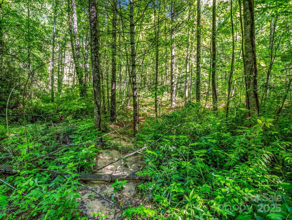 TBD Climbing Rd., Hendersonville, NC 28792