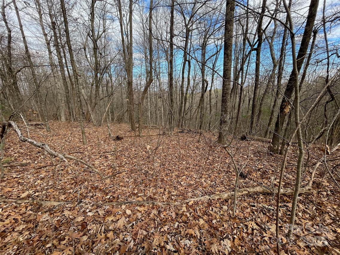 290 Shoal Creek Rd., Zirconia, NC 28739