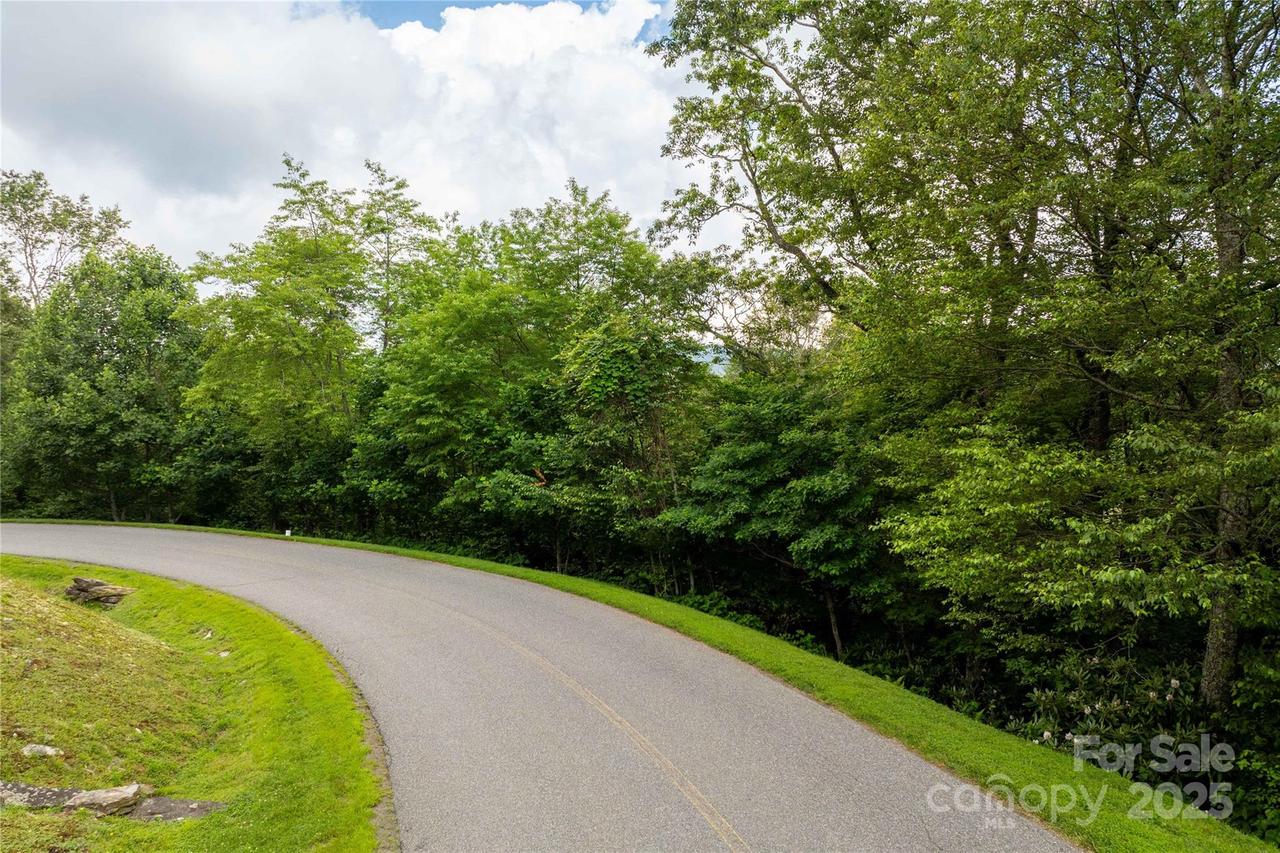 TBD Lot 215 Thunderhill Tr. #215, Blowing Rock, NC 28605