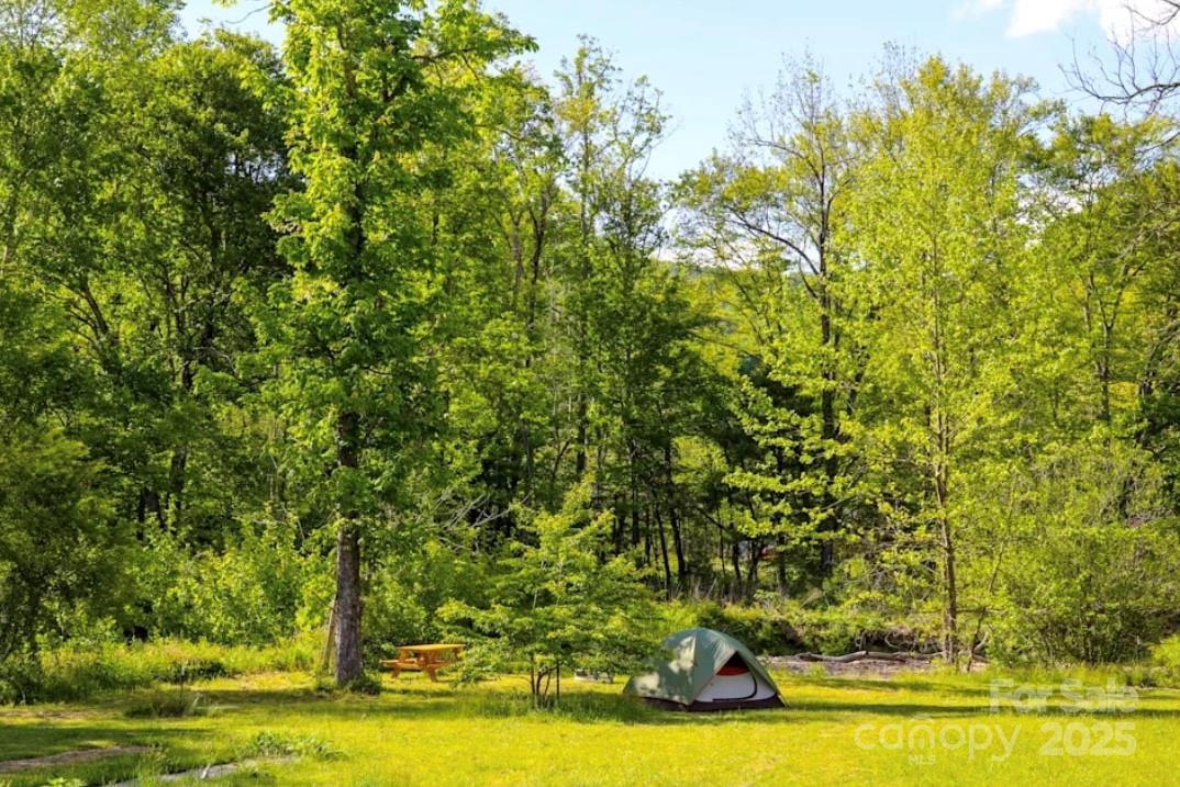 2840 Nc 9 Hwy., Black Mountain, NC 28711