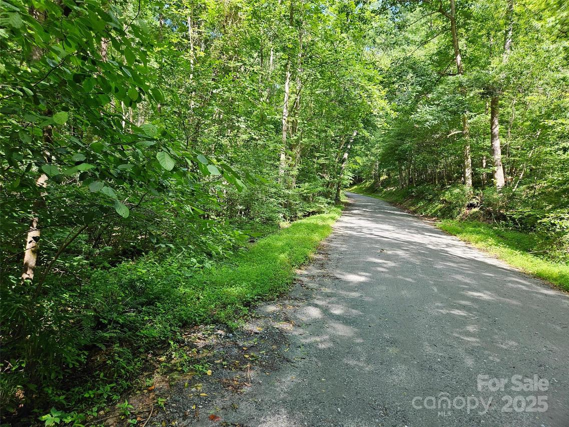 Sandpiper Ave. #163, Lake Lure, NC 28746