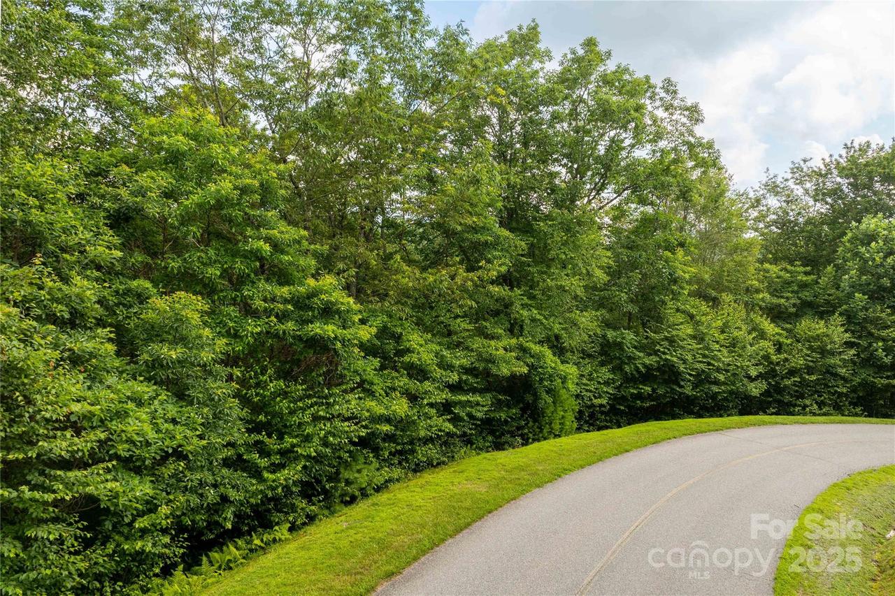TBD Lot 122 Firethorn Tr. #122, Blowing Rock, NC 28605
