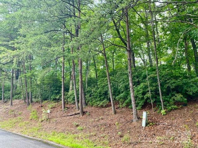 Quail Ridge Rd. #164, Lake Lure, NC 28746