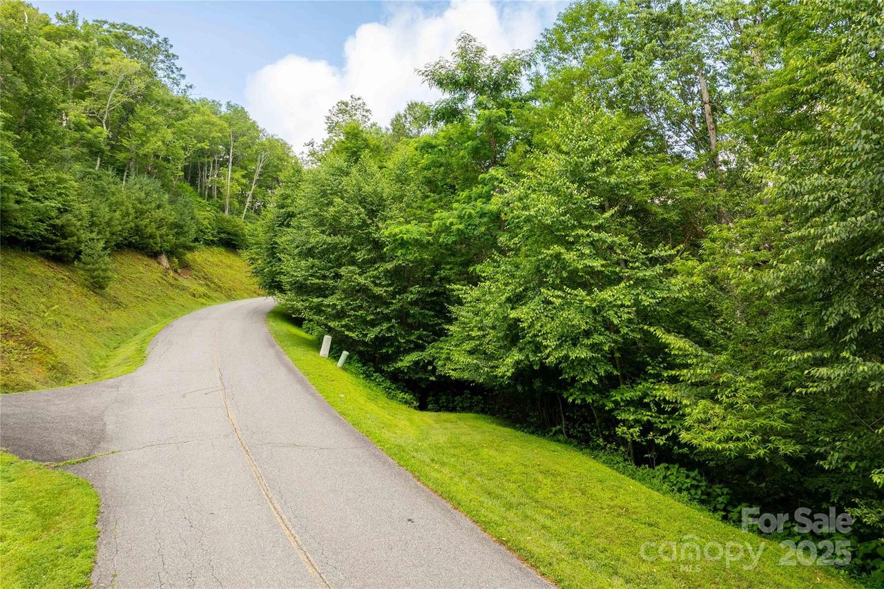 TBD Lot 123 Firethorn Tr. #123, Blowing Rock, NC 28605