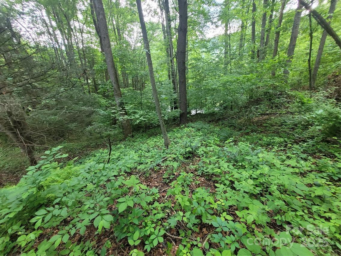 00 Serendipity Ln. #111, Waynesville, NC 28785