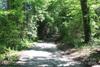 Homes Just Sold in Woodleaf: August 19th to August 25th