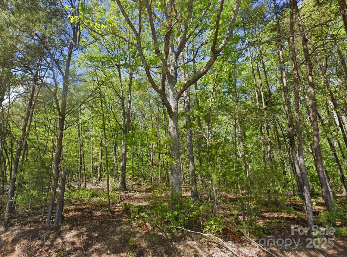 Pleasant Grove Rd., Rutherfordton, NC 28139