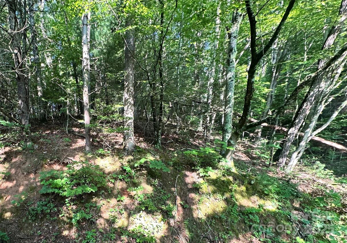 17 Tara Dr., Asheville, NC 28806