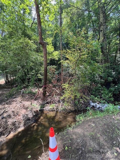Lots P12-22 & P12-23 Green River Cove Rd. #22 & 23, Saluda, NC 28773