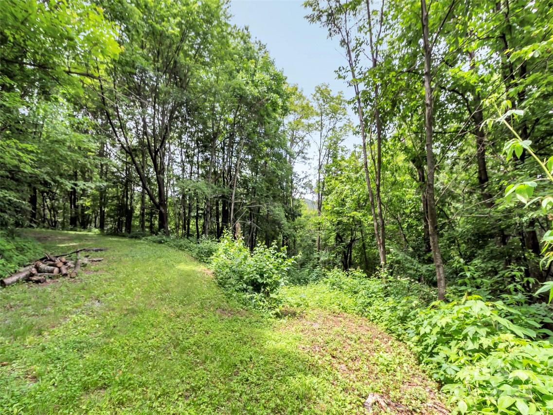 32 Sallywood Tr., Waynesville, NC 28785
