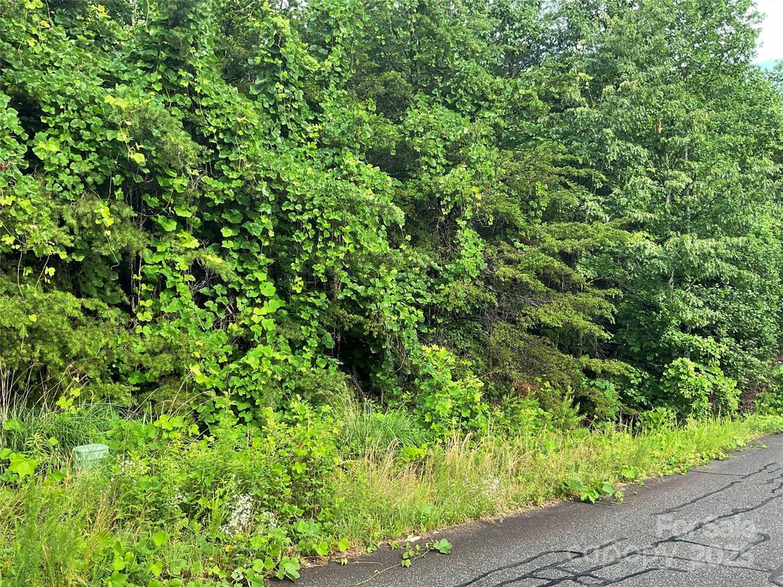 Valley View Ct., Hickory, NC 28602