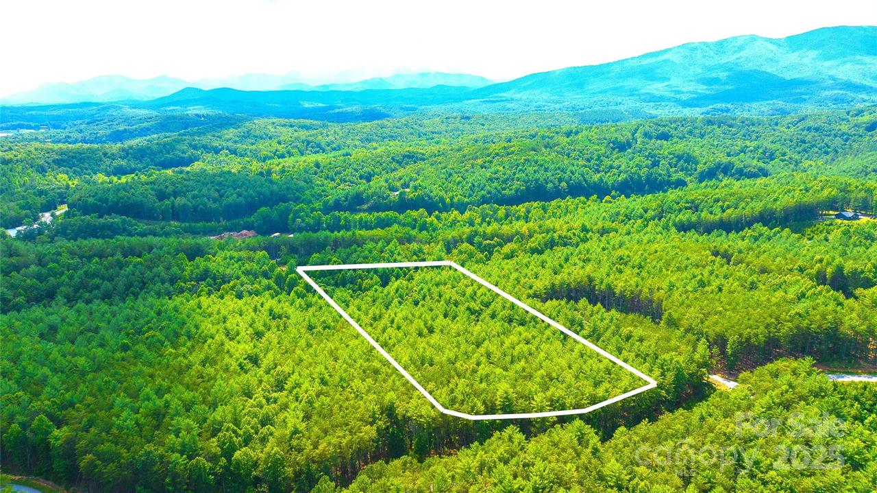 2422 Ivy Rays Way, Nebo, NC 28761