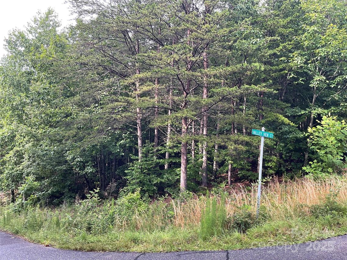 Pineknoll Dr., Hickory, NC 28602
