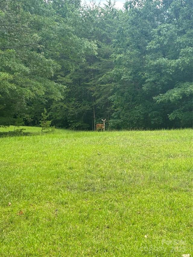 28 Fallen Tree Ln., Mill Spring, NC 28756