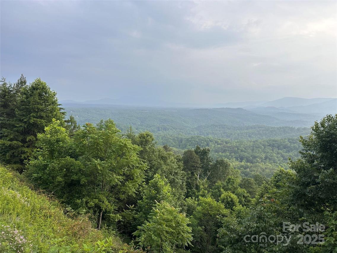 Golden Ridge Dr., Lake Lure, NC 28746