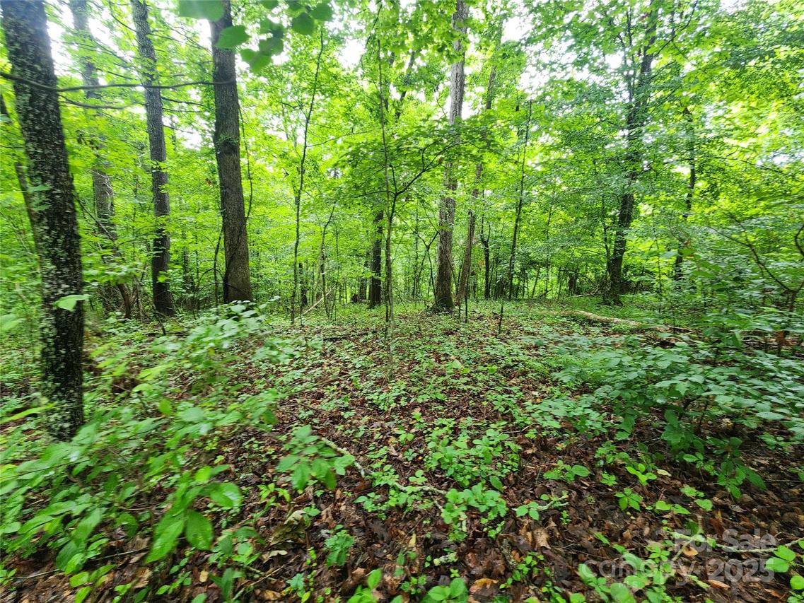 9999 Henry Worley Ln., Marshall, NC 28753