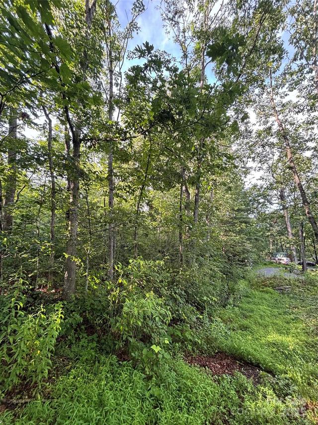 9999 Oak Ridge Rd., Hendersonville, NC 28792