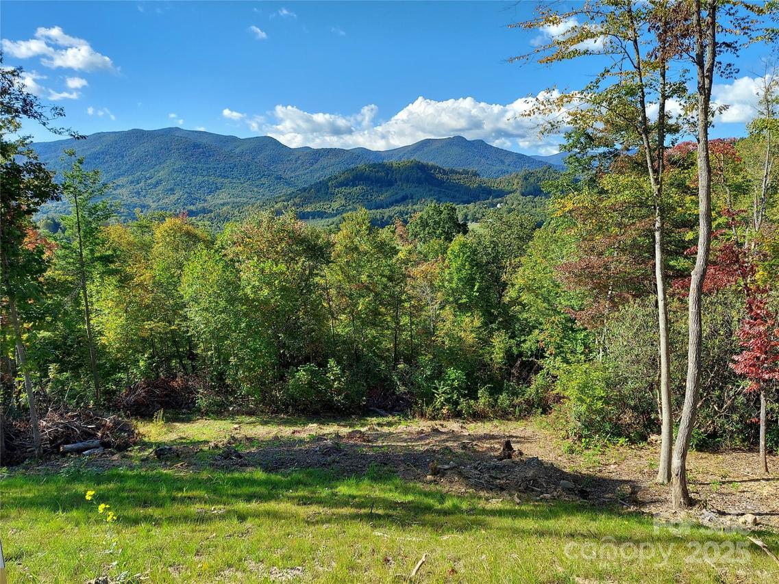 LOT 19 Summit View Pkwy., Spruce Pine, NC 28777