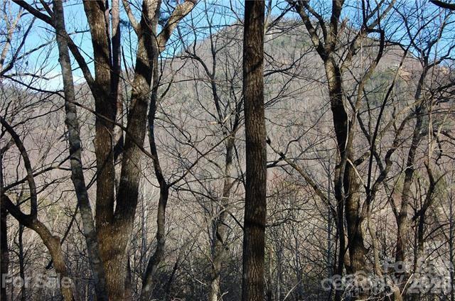 Lot 30 Summit Ct. #30, Lake Lure, NC 28746