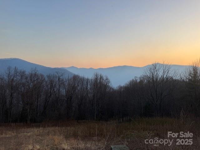 TBD Sorrells Creek Rd., Canton, NC 28716