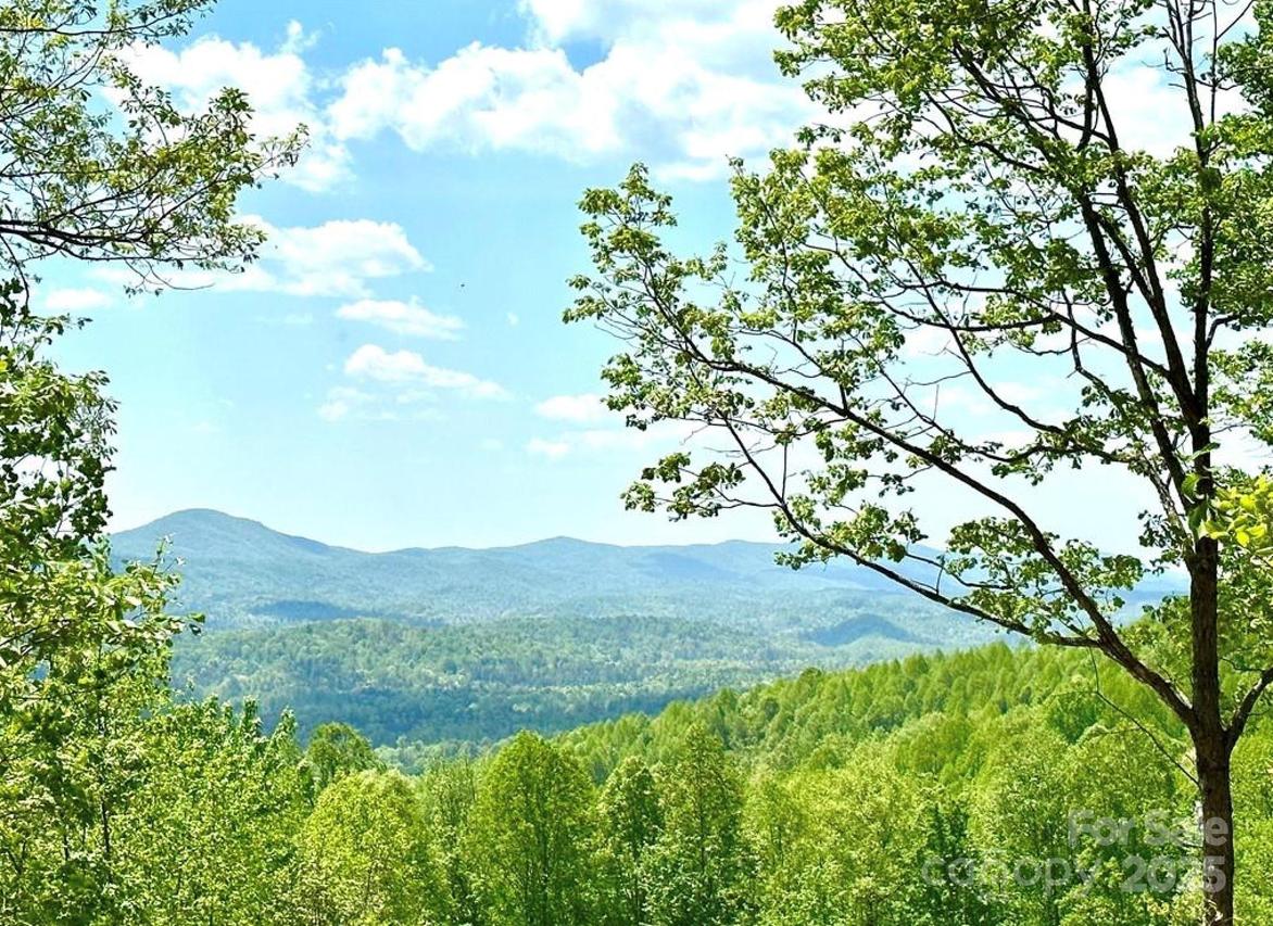 Lot 79 Ridge Run Rd. #79, Boomer, NC 28606