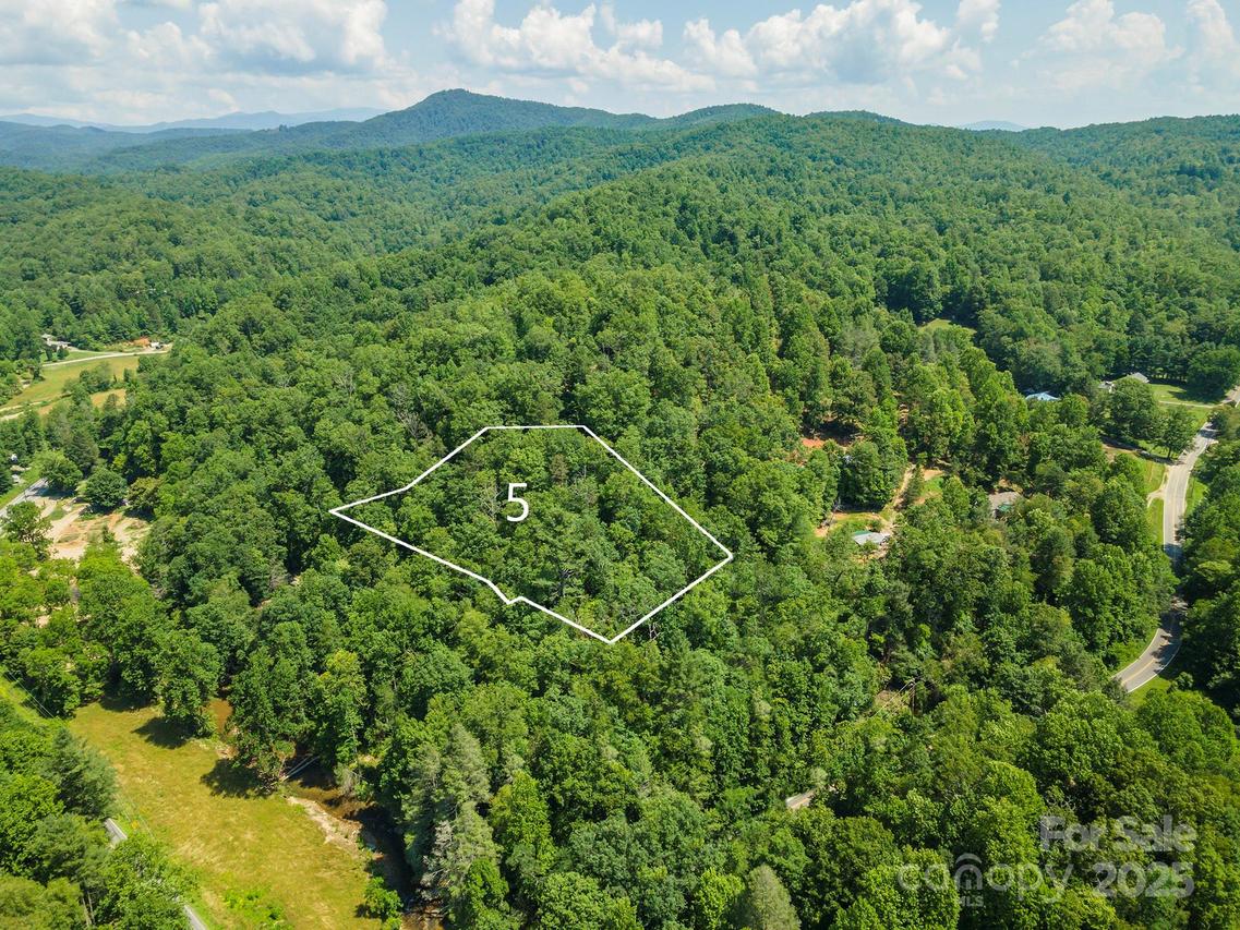 5 Roy Ln., Black Mountain, NC 28711
