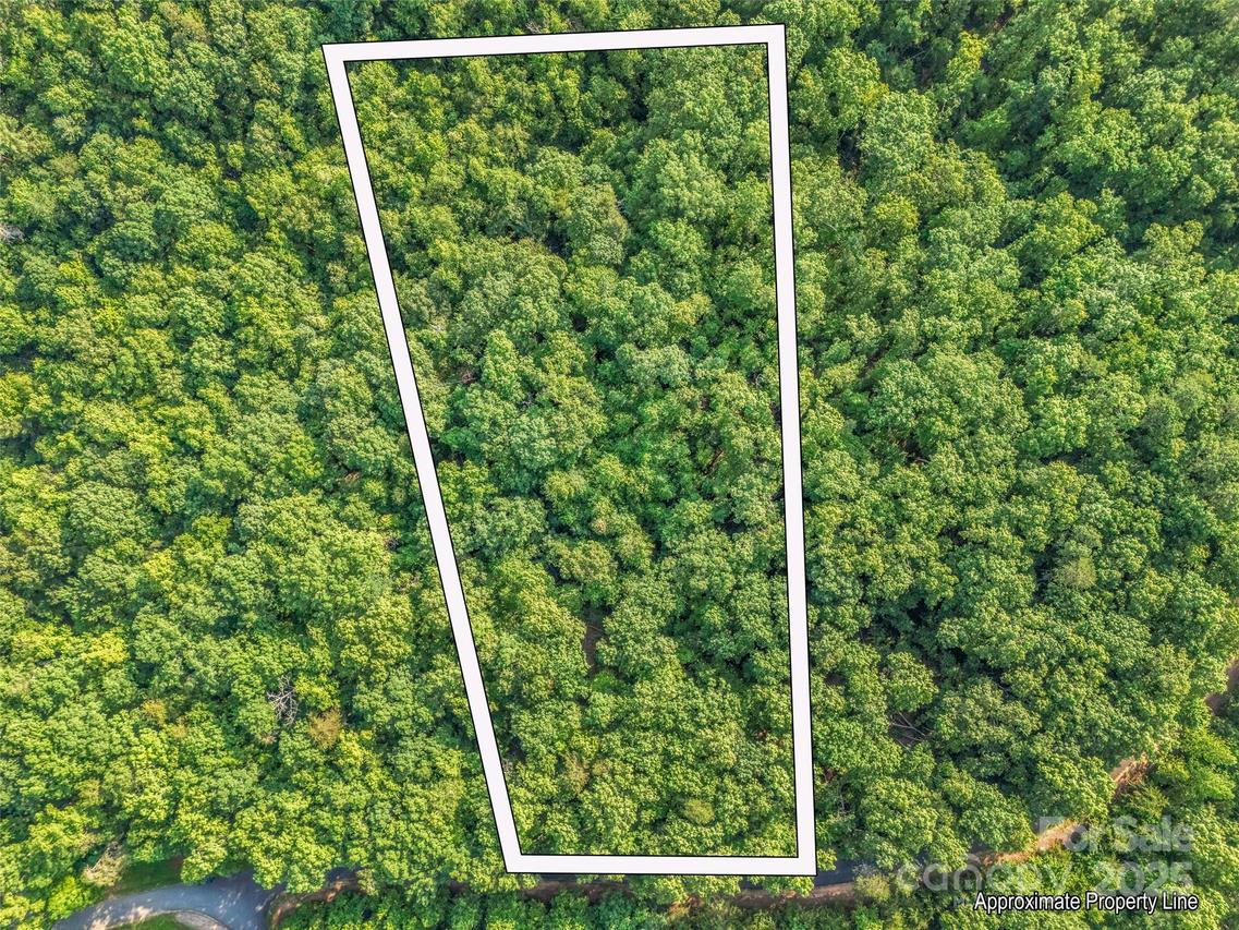 Forest Country Dr. #Lot 49, Marion, NC 28752