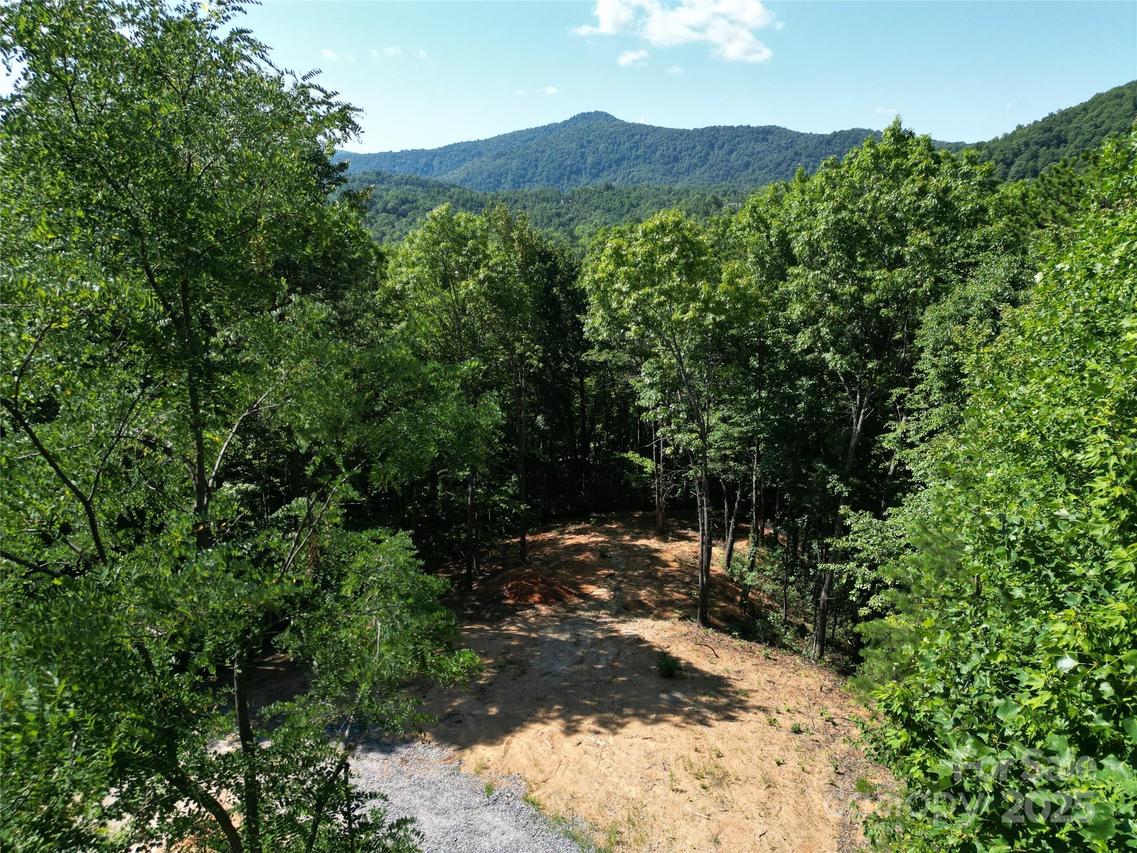 1915 Catawba Falls Pkwy. #232, Black Mountain, NC 28711