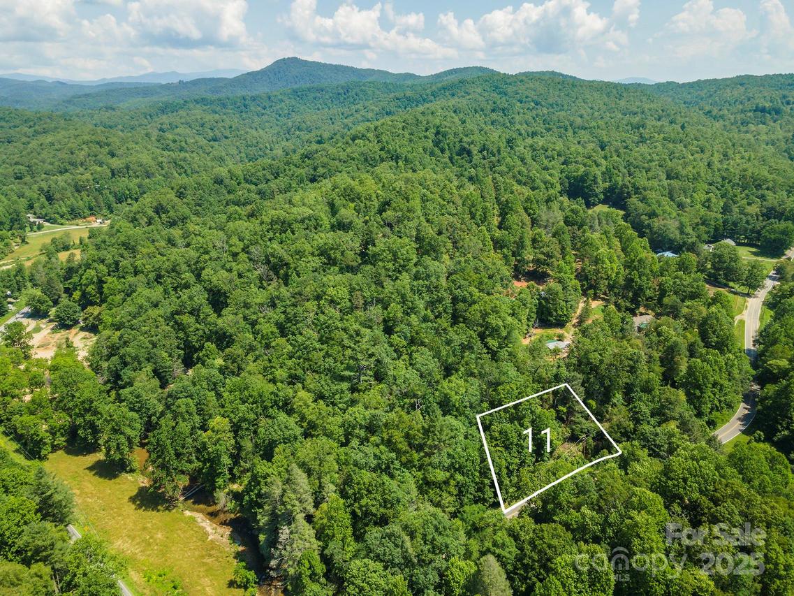 11 Roy Ln., Black Mountain, NC 28711