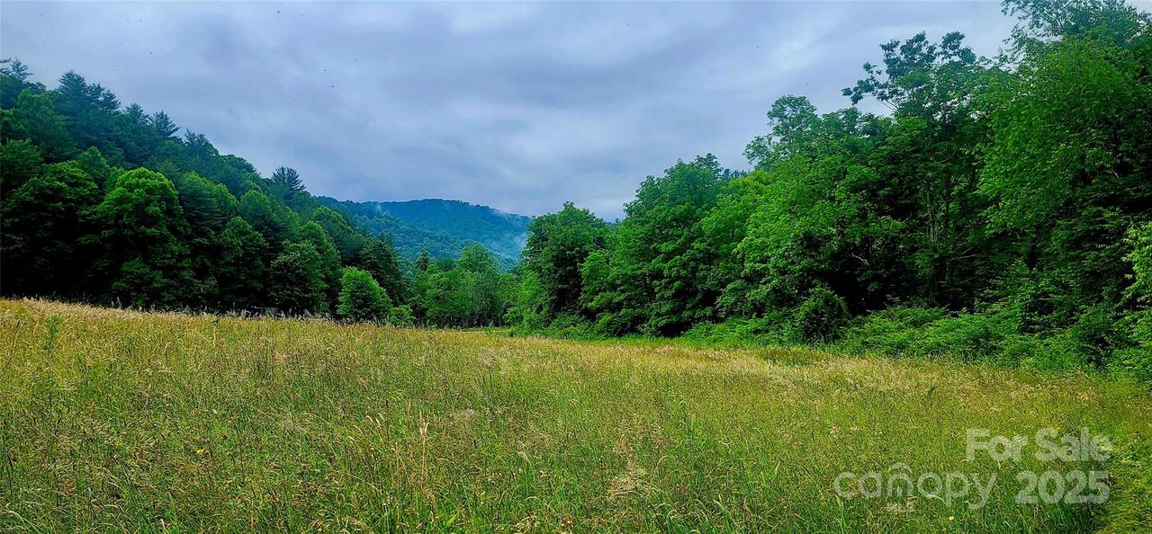 5595 Meadow Fork Rd., Hot Springs, NC 28743