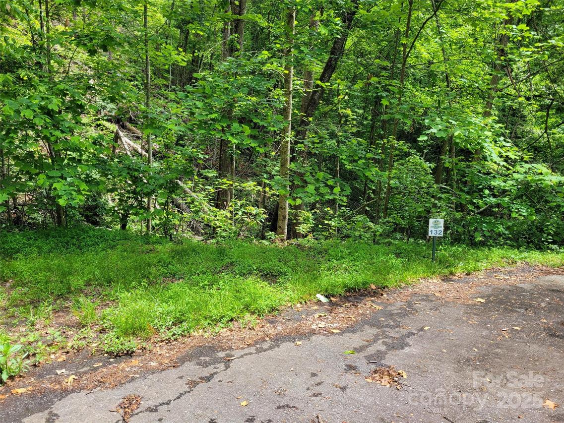 TBD Bear River Lodge Tr. #132, Marshall, NC 28753