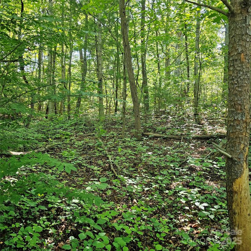 99999 Campground Rd., Asheville, NC 28805
