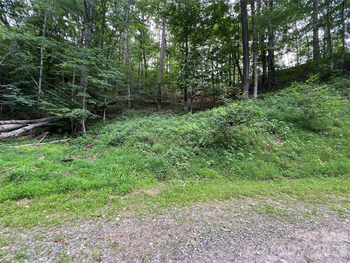 Chestnut Ln. #Lot 84, Mars Hill, NC 28754