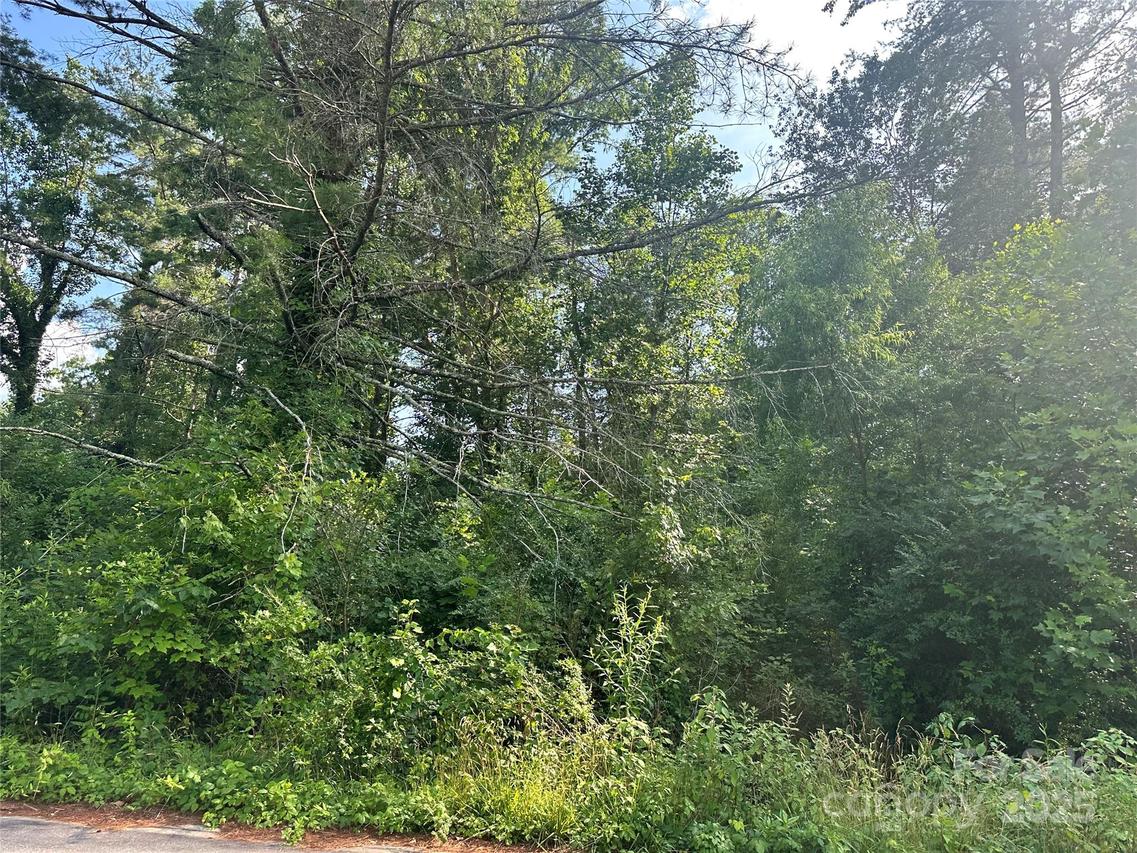 Lot 133 Brandon Rd. #133, Hendersonville, NC 28739