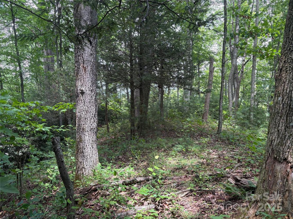 00 Early Frost Pl. #98, Waynesville, NC 28785