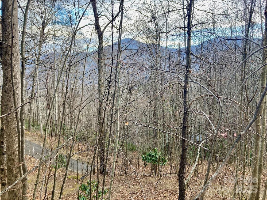 402 Loveland Rd. #4, Maggie Valley, NC 28751
