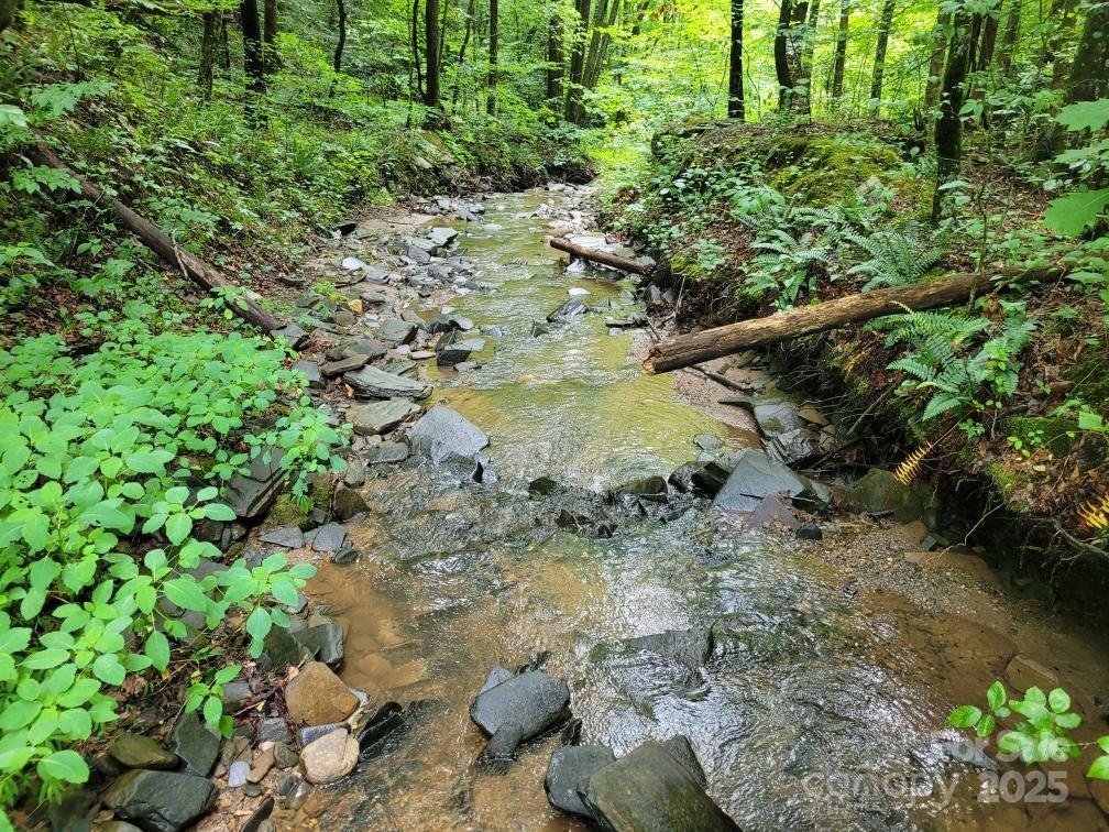 99999 Old Yellow Mountain Rd., Marion, NC 28752