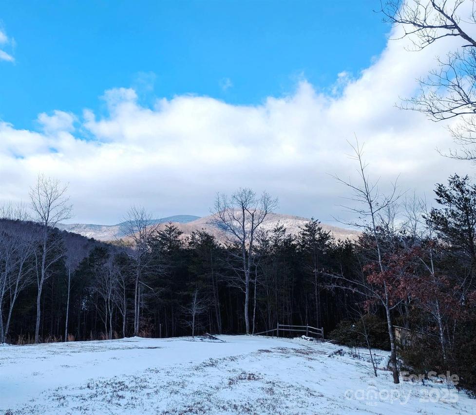 1318 Laughter Rd., Mill Spring, NC 28756