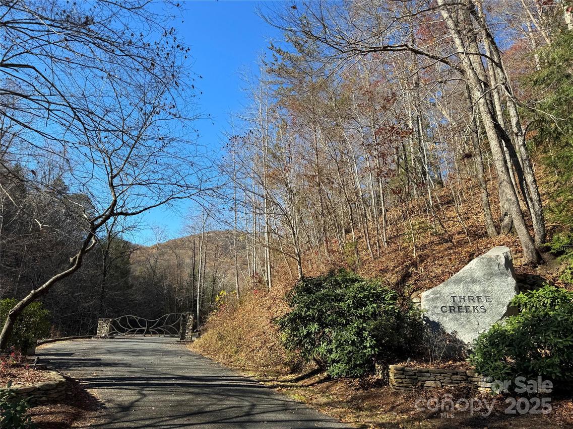 Site 5 Woodfen Ln. #5, Lake Lure, NC 28746