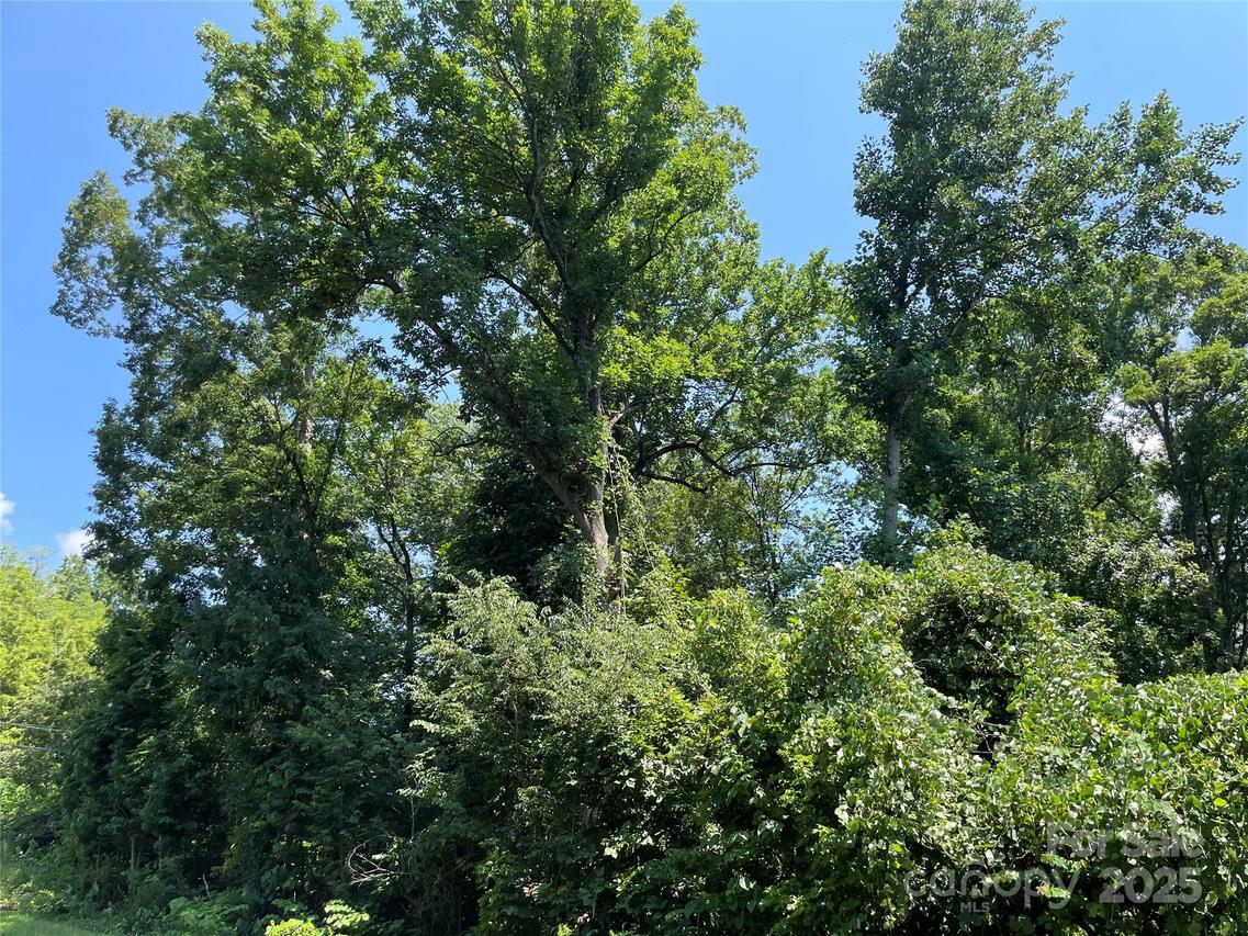 Pine Ridge Rd., China Grove, NC 28023