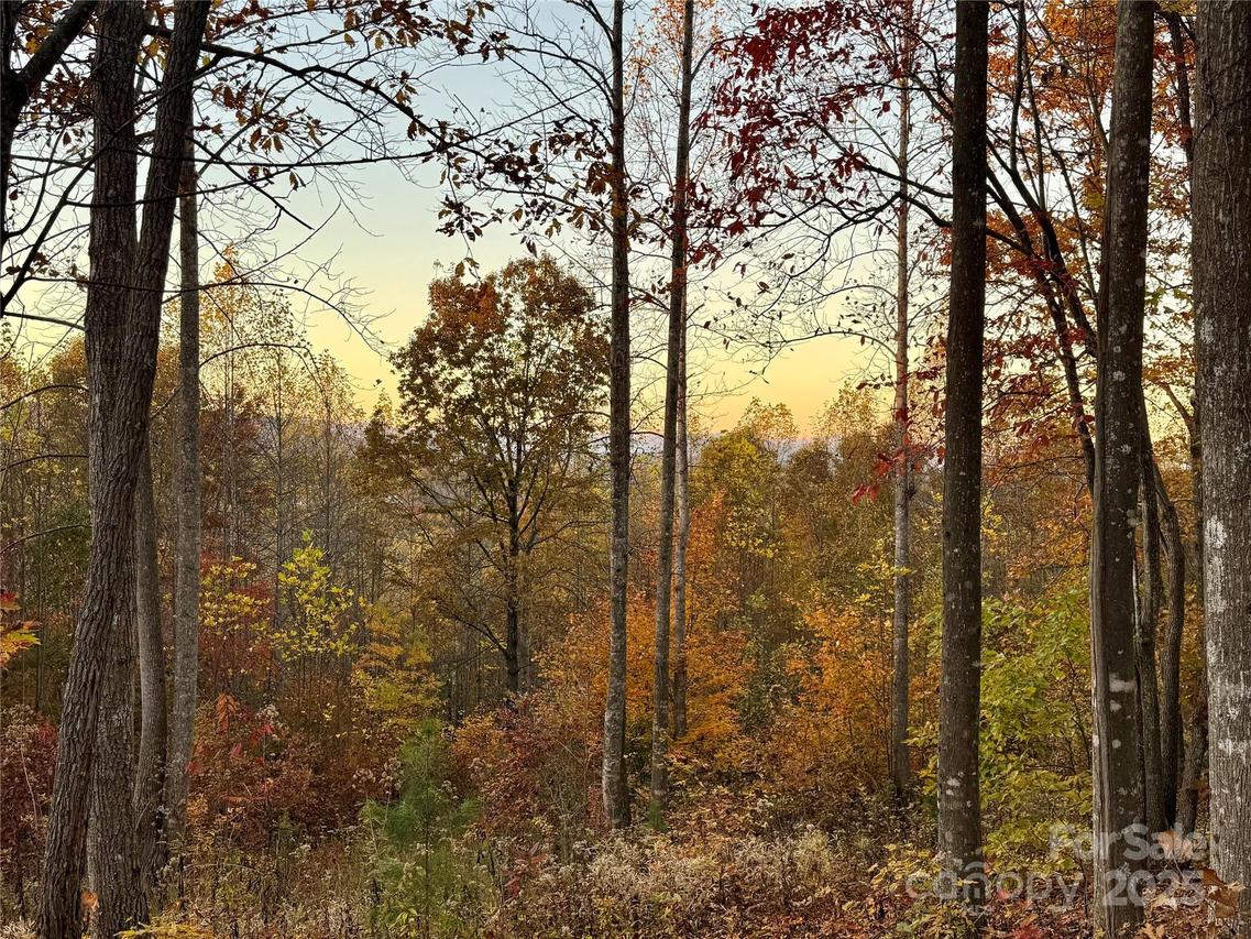 19 Meditation Ridge Extension, Nebo, NC 28761