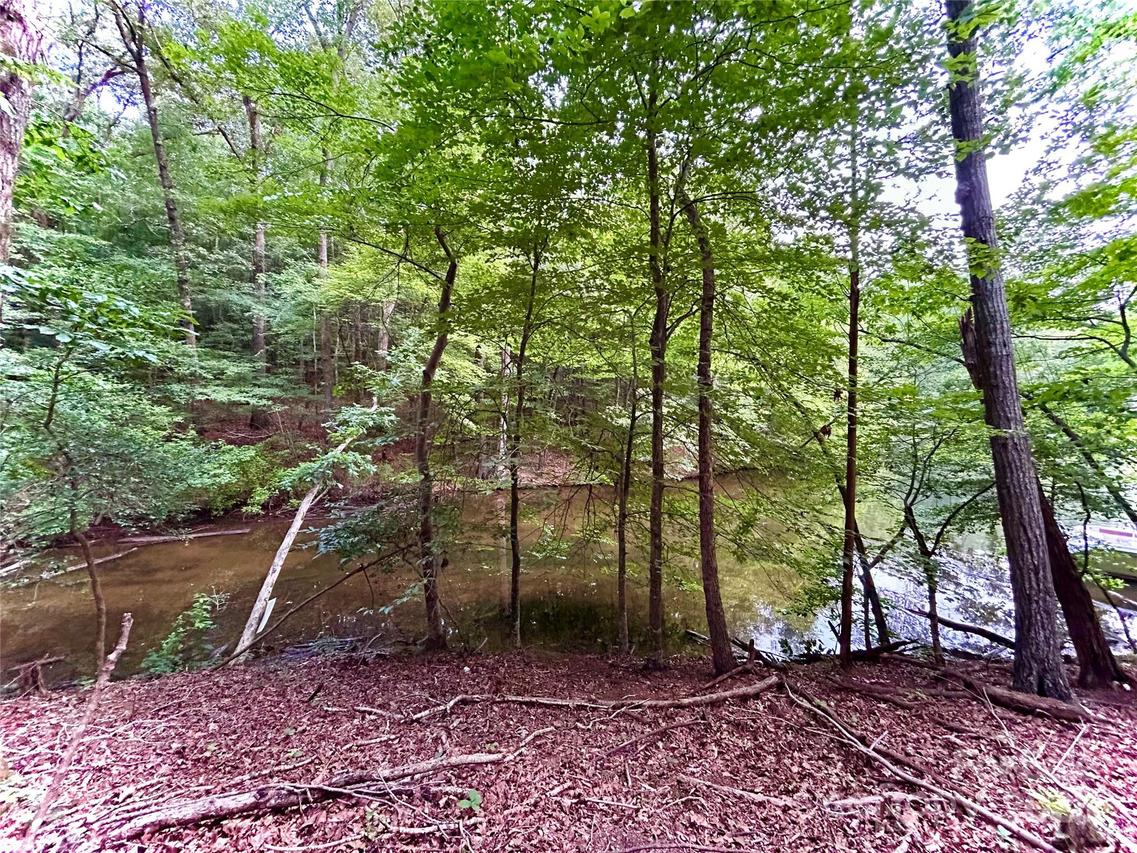 00 Bridgeview Ct. #119, Norwood, NC 28128